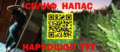 спиды Малгобек
