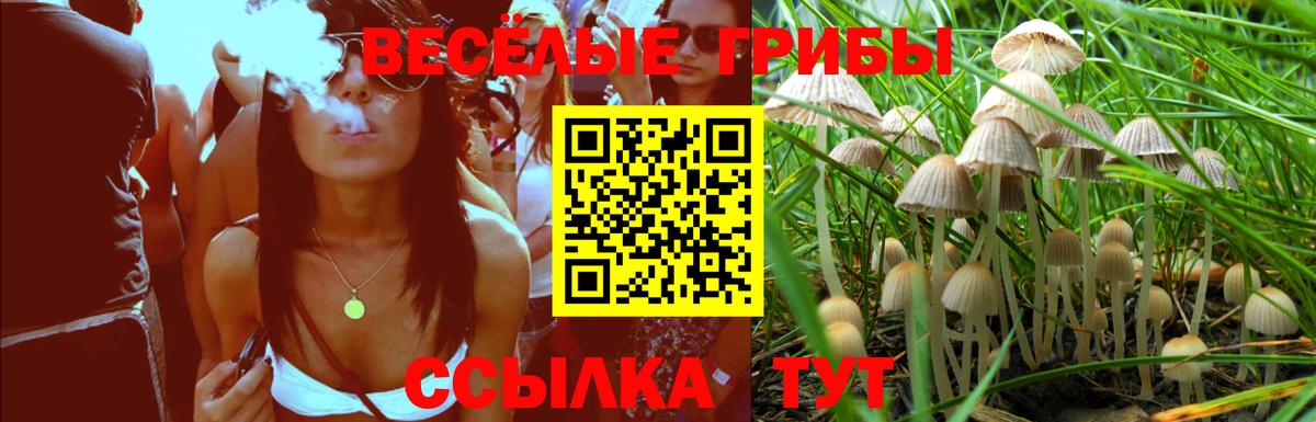 Галлюциногенные грибы Psilocybe  Псилоцибиновые грибы MAGIC MUSHROOMS  Реж  Вход с VPN 