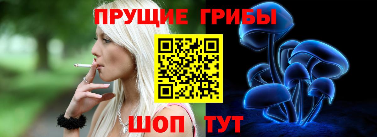 Галлюциногенные грибы Psilocybe Реж